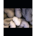 Crochet Patterns: Fast and Easy Crochet Patterns