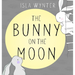 The Bunny on the Moon