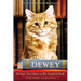 Dewey: The Small-Town Library Cat Who Touched the World