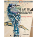 The Innovative Artist: Art of Pyrography: Drawing with Fire