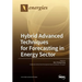 Hybrid Advanced Techniques for Forecasting in Energy Sector
