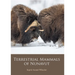 Terrestrial Mammals of Nunavut