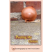 Peeling My Onion: An Autobiography by Peter Frost Gelber