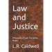 Law and Justice: Philosophy of Law: The Series, Book 3