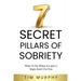 7 Secret Pillars of Sobriety: What To Do When AA and 12 Steps Aren't For You