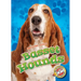 Basset Hounds
