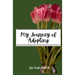 My Journey of Adopting