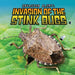 Invasion of the Stink Bugs