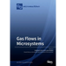 Gas Flows in Microsystems