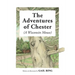 The Adventures of Chester (A Wisconsin Mouse)