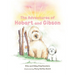 The Adventures of Hobart and Gibson