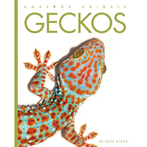 Geckos