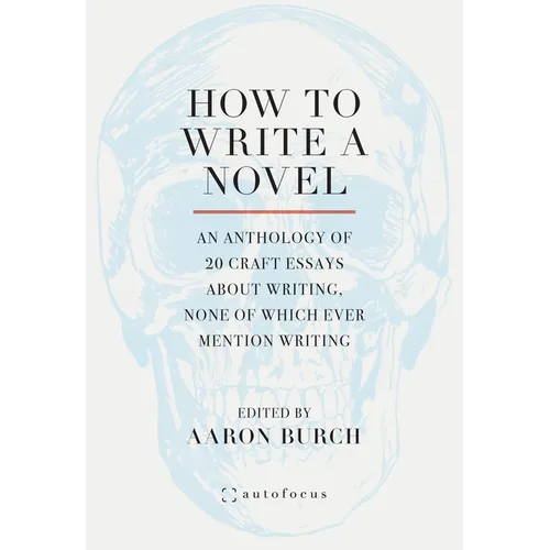 How to Write a Novel: An Anthology of 20 Craft Essays about Writing, None of Which Ever Mention Writing