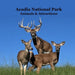 Acadia National Park Animals and Attractions Kids Book: Great Way for Kids to See the Animals and Attractions in Acadia National Park