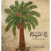 The Story of Maryam AS - Great Women in Islam Series