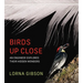 Birds Up Close: An Engineer Explores Their Hidden Wonders