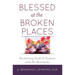 Blessed at the Broken Places: Reclaiming Faith and Purpose with the Beatitudes