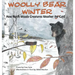 Woolly Bear Winter: How North Woods Creatures Weather the Cold