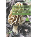 Morel Support: A Beginners Guide To Harvesting, Preserving And Cooking Morel Mushrooms