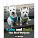 Kobe and Santi Find Their Purpose