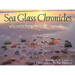 Sea Glass Chronicles