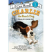 Charlie the Ranch Dog: Charlie's Snow Day: A Winter and Holiday Book for Kids