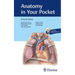 Anatomy in Your Pocket