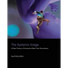 The Systemic Image: A New Theory of Interactive Real-Time Simulations