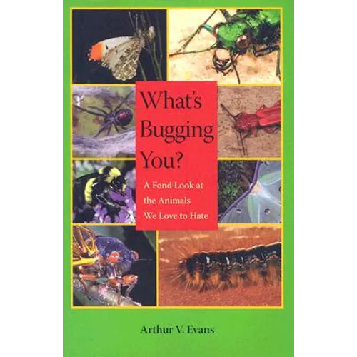What's Bugging You?: A Fond Look at the Animals We Love to Hate