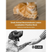 Small Animal Neuroanatomic Lesion Localization Practice Book