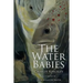 The Water Babies: Illustrated