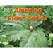 Amazing Plant Bodies: Tiny to Gigantic