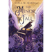 The Minor Fall: On the West Coast of Ireland, enter a world of forgotten magic, memories, and soulmates
