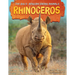 Rhinoceros