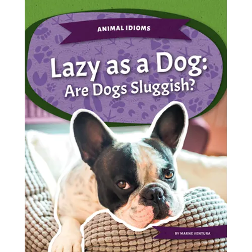 Lazy as a Dog: Are Dogs Sluggish?: Are Dogs Sluggish?