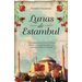 Lunas de Estambul (Novela) / Moons of Istanbul (a Novel)