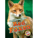 Red Foxes