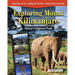Exploring Mount Kilimanjaro: Africa's Highest Peak