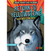 Return to Yellowstone: Gray Wolf Comeback