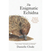 The Enigmatic Echidna: Secrets of the World's Most Curious Creature