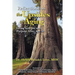Reflections on the Upsides of Aging: Living with Joy and Purpose After Age 50