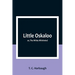 Little Oskaloo; or, The White Whirlwind