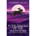 In The Tracks of the Moon Hare Exploring the Inner Life through Imagery