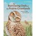The Burrowing Owls of the Prairie Grasslands