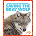 Saving the Gray Wolf