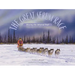 The Great Serum Race: Blazing the Iditarod Trail