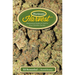 Marijuana Harvest: How to Maximize Quality and Yield in Your Cannabis Garden