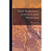 Deep Borehole Surveys and Problems