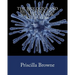 The Biologics and Biotechnology Handbook for Engineers