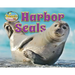 Harbor Seals